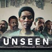 看不见的罪第二季(全集)