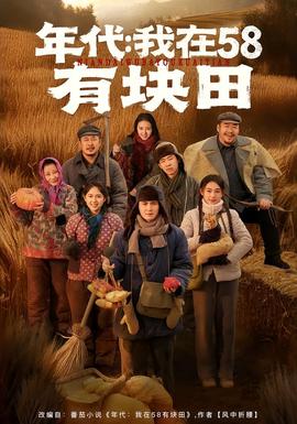 年代我在58有块田(全集)